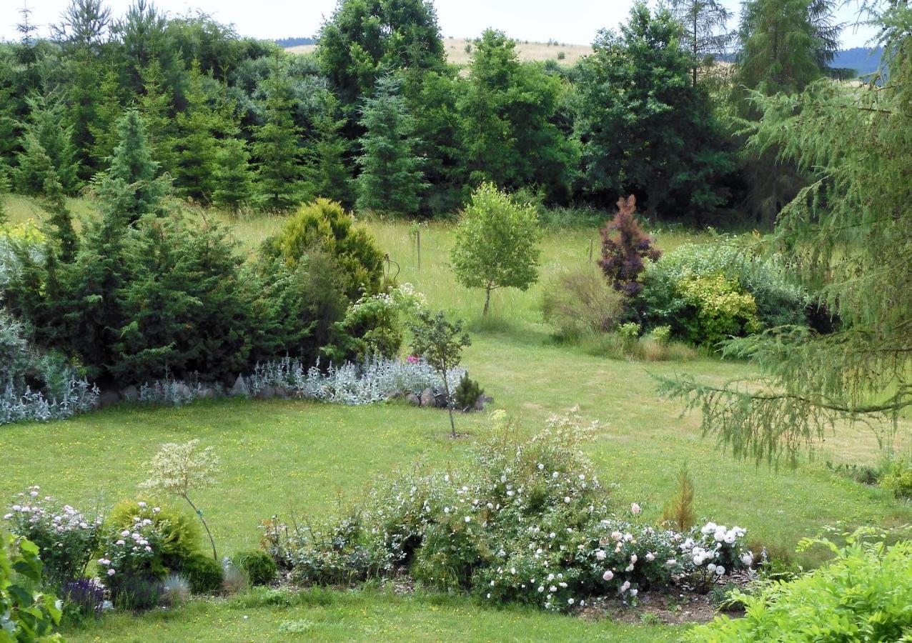 Villa Orlik Barlinek Exteriér fotografie