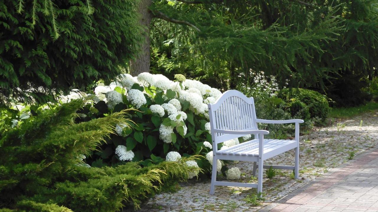 Villa Orlik Barlinek Exteriér fotografie