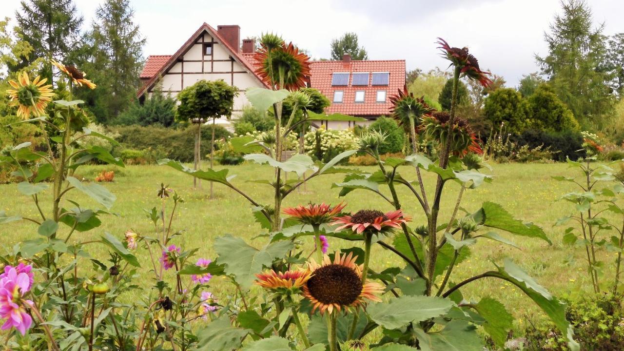 Villa Orlik Barlinek Exteriér fotografie