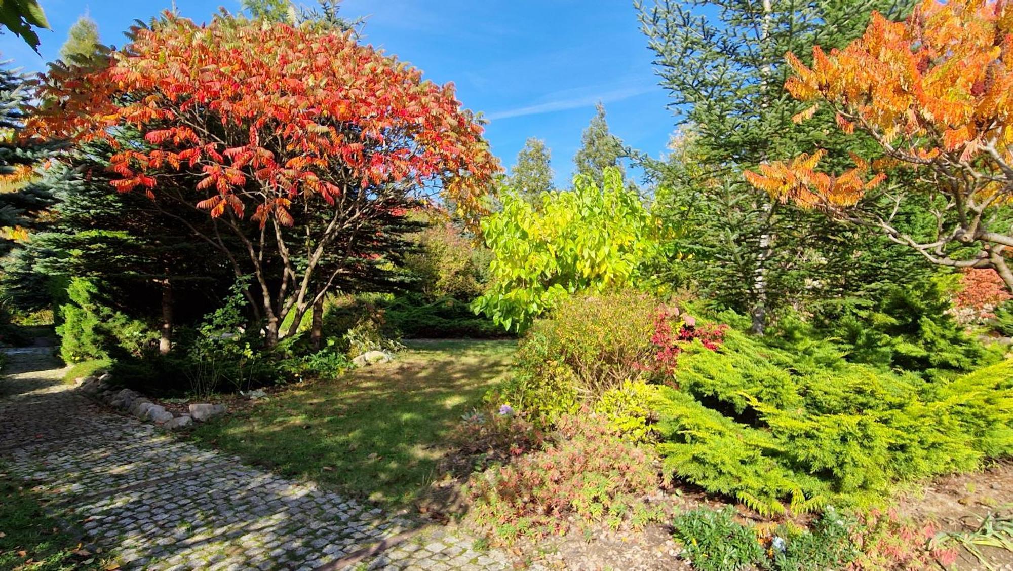 Villa Orlik Barlinek Exteriér fotografie