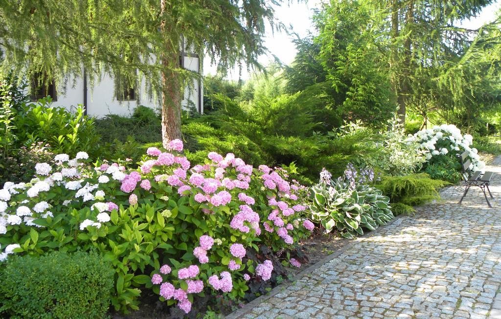 Villa Orlik Barlinek Exteriér fotografie